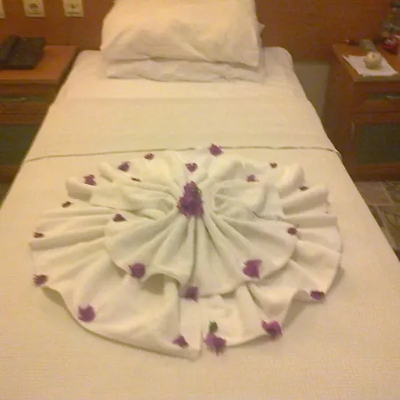 Kami Guest house 3*
