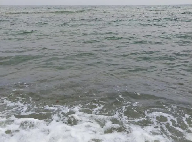 Pensionat Kami Bjala