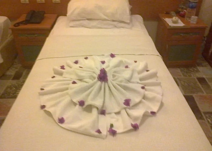 Kami Pensionat 3*