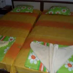Kami Bjala
