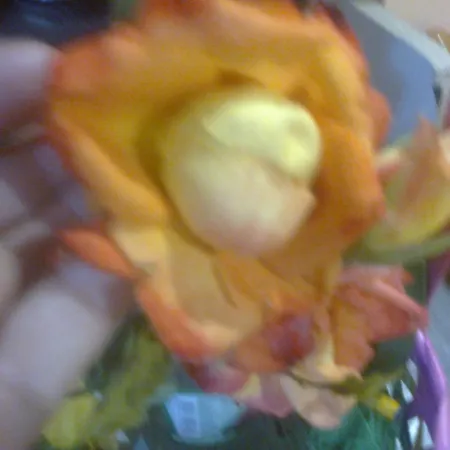 Къща за гости ками 3*